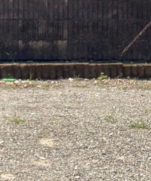 ZOZOMARKET | パンツ