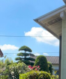 𝕝𝕟𝕤𝕥𝕒𝕘𝕣𝕒𝕞 to_or1 フォローお願いします🙇‍♂️ | その他