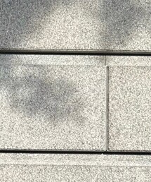 shuuemura | 口紅/リップティント/グロス