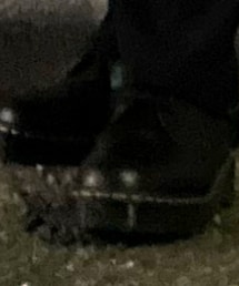 Dr. Martens | ブーツ