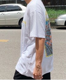 STUSSY | Tシャツ/カットソー