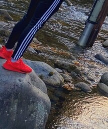 adidas | スニーカー