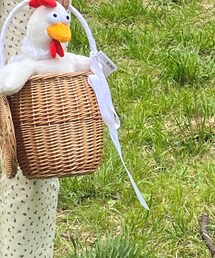 MIRO AMURETTE | かごバッグ