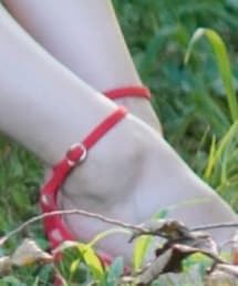 Shine | サンダル