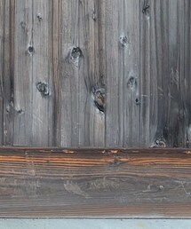 PENDLETON | パンツ