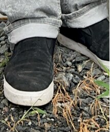 VANS | スニーカー