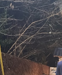 ASICS | ジャージ