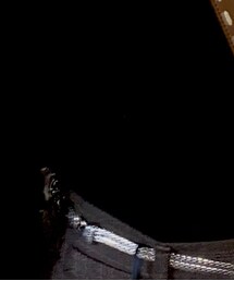 brighton | ベルト