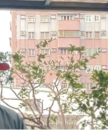 THE H.W. DOG & CO.  | キャップ