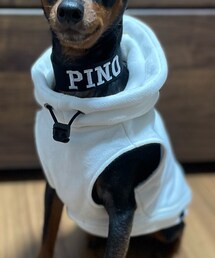 .navy | ペットウェア