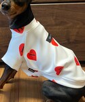 belindaの「ペットグッズ(ペットウェア)」