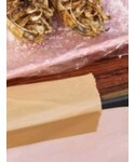グソクムシの「その他(その他)」