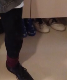 antiqua | スニーカー