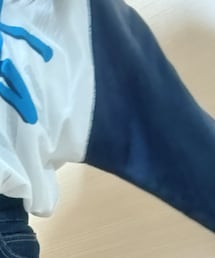 STUSSY | Tシャツ/カットソー