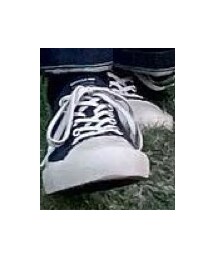 Article Number | スニーカー