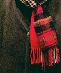 TOMORROWLAND  | マフラー