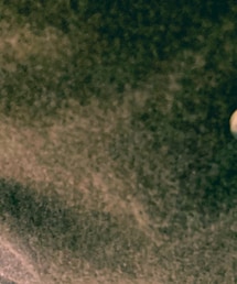 DENHAM | チェスターコート