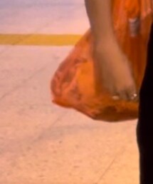 サカナクショングッズ | トートバッグ