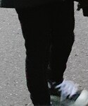 GU(ジーユー)の「パンツ(パンツ)」
