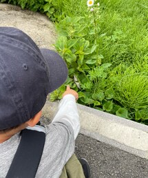 蝶々発見⚆.⚆🦋‪ | その他