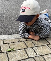カマキリ発見👀 | その他