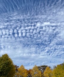秋空 | アウトドア/スポーツ