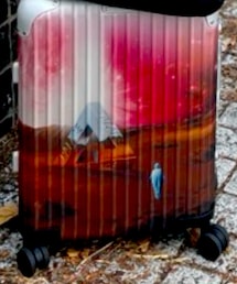 RIMOWA | スーツケース/キャリーバッグ