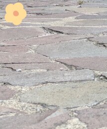 SENSE OF PLACE by URBAN RESEARCH | シャツ/ブラウス