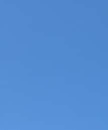 le.coeur blanc | スカート