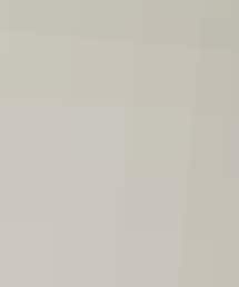 LE TALON | パンプス