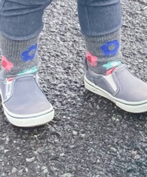 Birthday | ソックス/靴下