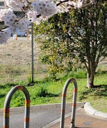 Right-on | シャツ/ブラウス