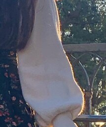 Honeys | ニット/セーター