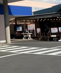 Melody Ehsani | ネックレス