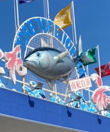 FREE FISH | その他