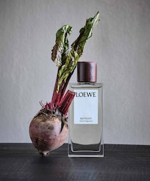 LOEWE | ルームフレグランス/お香