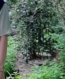 BED J.W. FORD | Tシャツ/カットソー