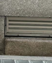 soyy. | Tシャツ/カットソー