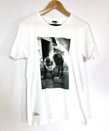 UNIQLO | 蹄鉄 UT ナショナルジオグラフィック(Tシャツ/カットソー)