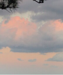 0000Lady's | その他