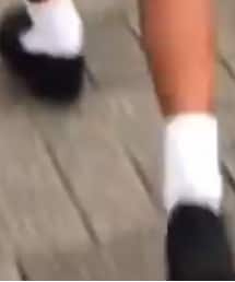 BLOHM | ローファー