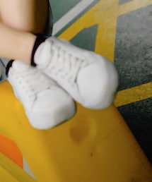 TOMMY HILFIGER | スニーカー