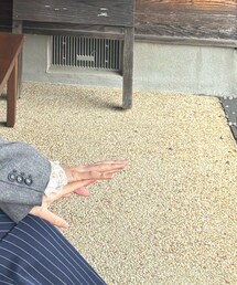 shein | Tシャツ/カットソー