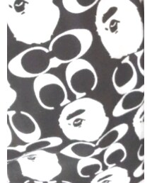 COACH | Tシャツ/カットソー