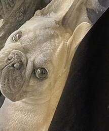 新しい地図 | Tシャツ/カットソー