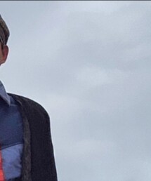 ALPINE DESIGN | その他トップス