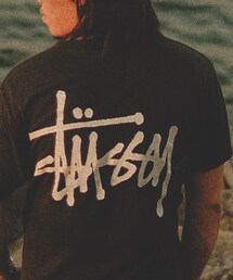 STUSSY | Tシャツ/カットソー
