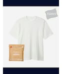 HANES(ヘインズ)の「トップス(Tシャツ/カットソー)」