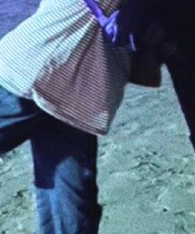 Qoo10 | Tシャツ/カットソー