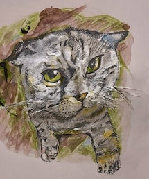 くーたろさんお誕生日おめでとうございます㊗️😺 | ポスター/アート